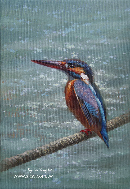 kingfisher ӦZ_^A ø