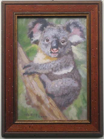 koala