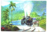 chichistation