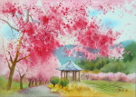 武陵茶園春櫻 Wuling Tea Plantation with Sakura Blossoms